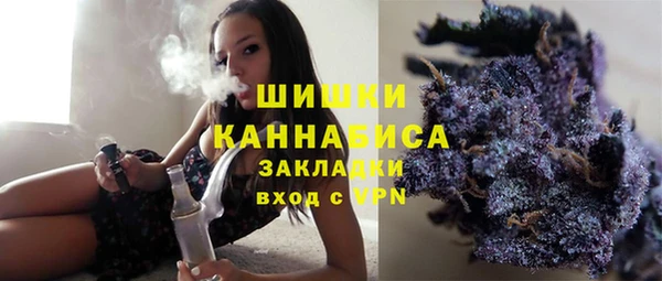 прущие грибы Бронницы