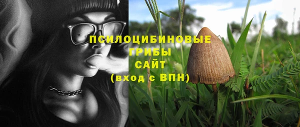 МДПВ Бородино