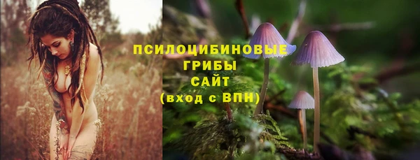 МДПВ Бородино