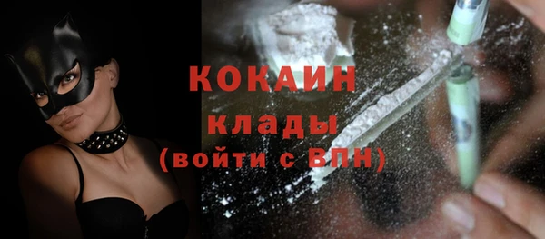 прущие грибы Бронницы