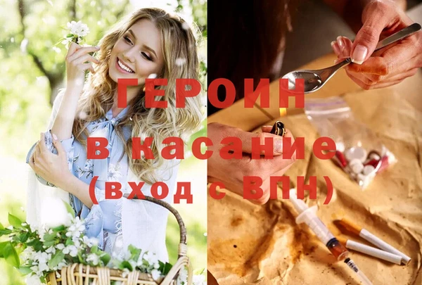 прущие грибы Бронницы