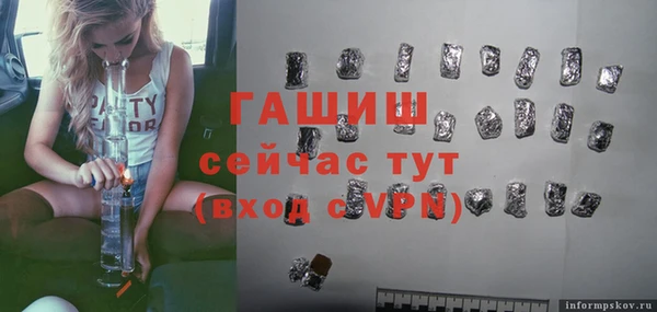 МДПВ Бородино