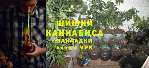 МДПВ Бородино