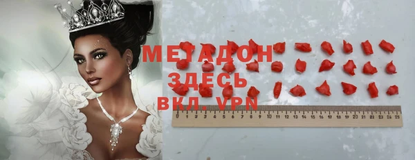 прущие грибы Бронницы