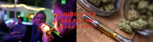 МДПВ Бородино