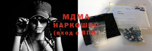прущие грибы Бронницы