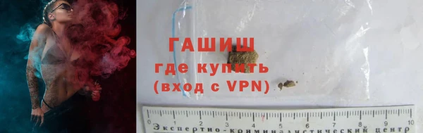 МДПВ Бородино