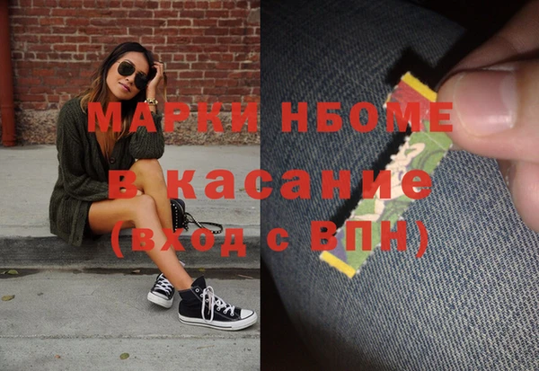 прущие грибы Бронницы