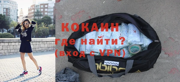 прущие грибы Бронницы