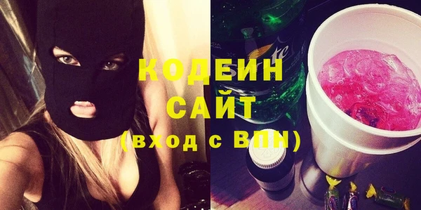 прущие грибы Бронницы
