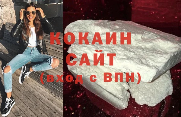 МДПВ Бородино