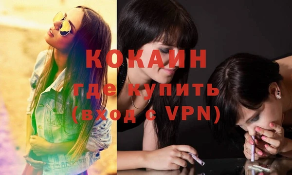 прущие грибы Бронницы