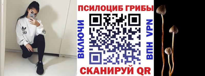 Купить  Пугачёв  Галлюциногенные грибы Magic Shrooms 