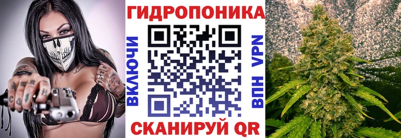 Каннабис OG Kush Пугачёв